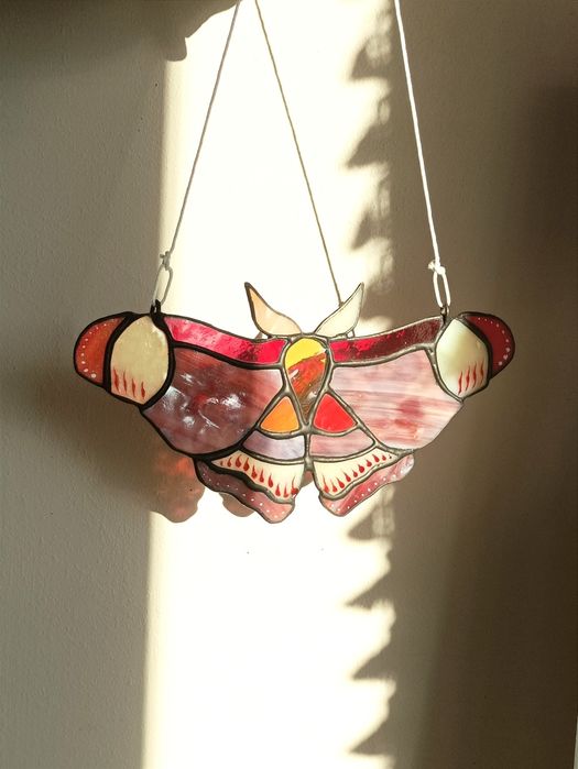 Ćma motyl witraż