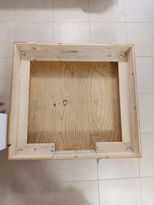 Maternidade para cães