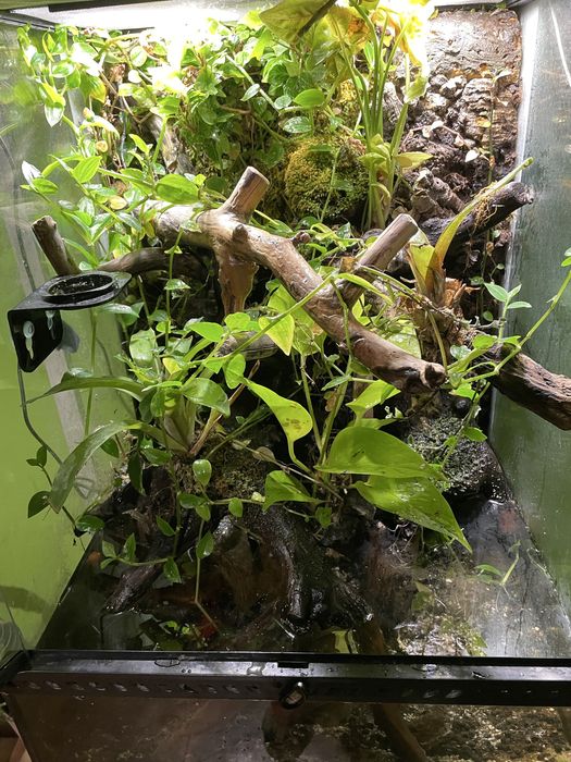 Terrarium paludarium exa terra