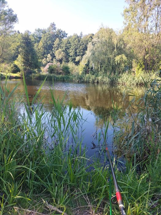 Sprzedam działkę ROD w Kwidzynie „Leśna Dolina”