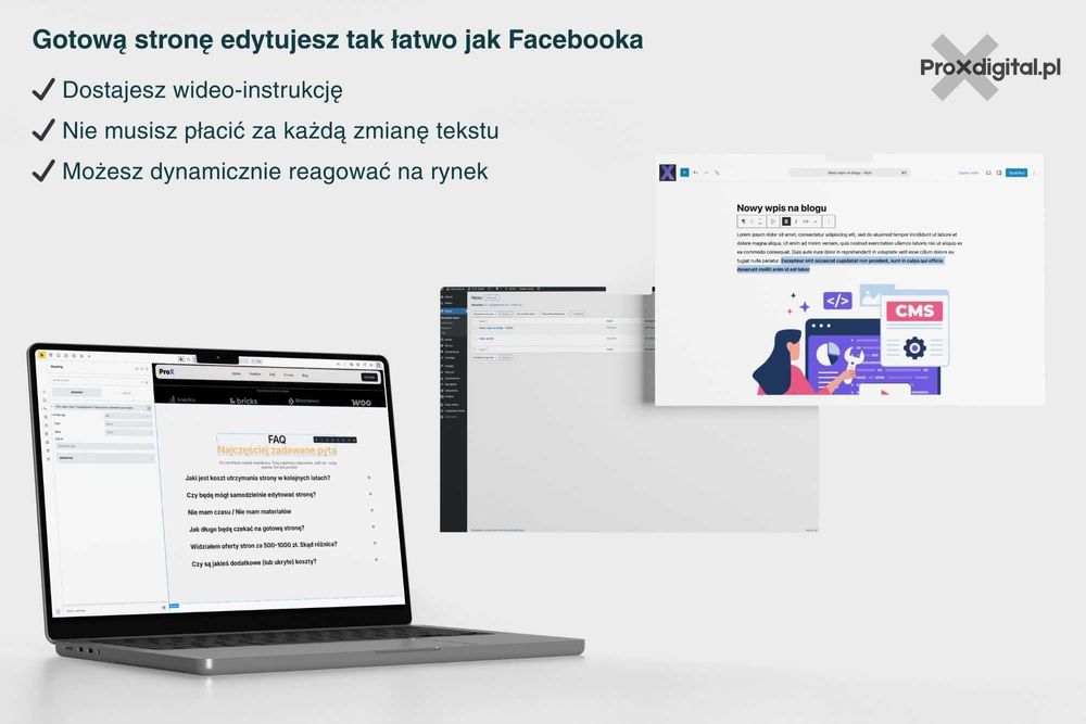 Profesjonalne strony internetowe + przygotowanie treści.