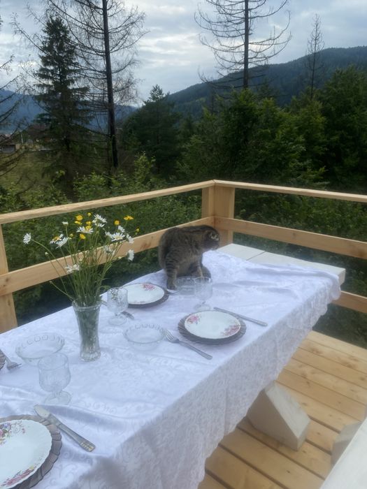 Оренда котеджу з ЧАНОМ та басейном в Карпатах на 4-6чол. с.Микуличин