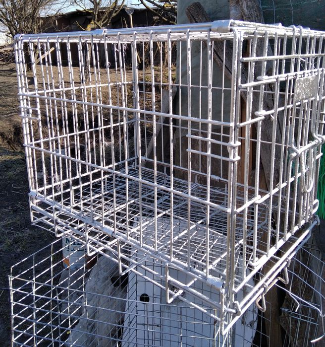 Продам на фото для собачки,або котика