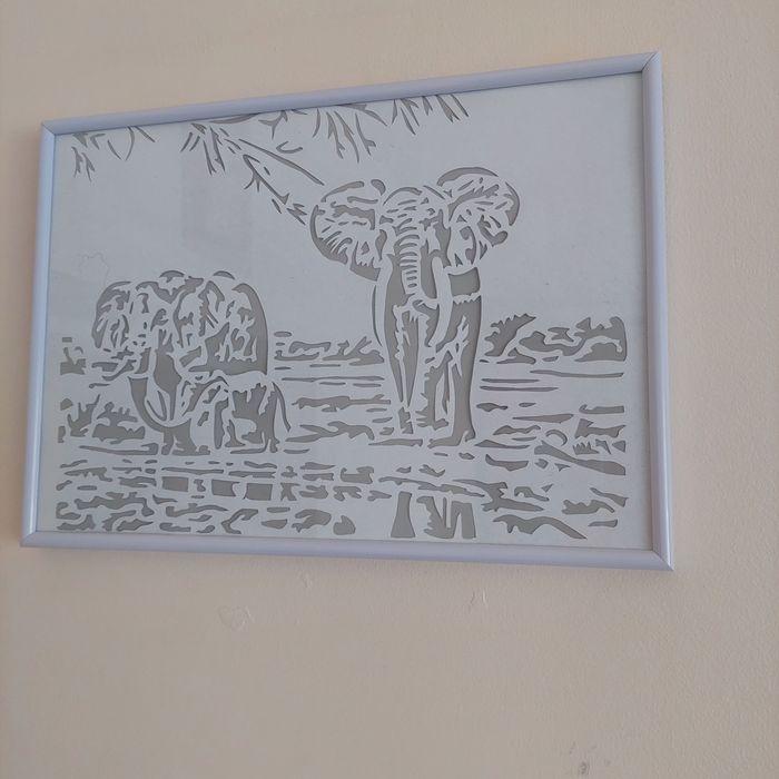 Obrazki w antyramkach SŁONIE