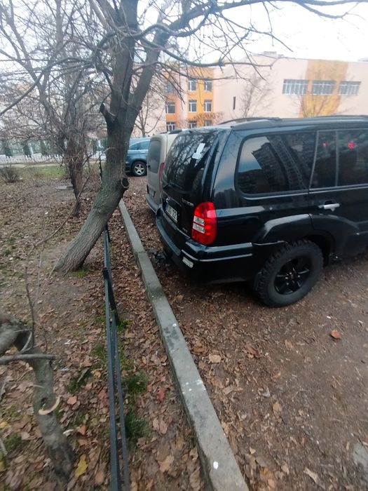 Таракан для бездоріжжя