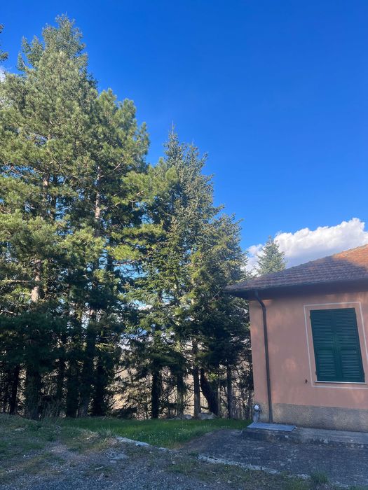 Затишний заміський будинок у Тавароне, Італія, 5.8 гектарів землі