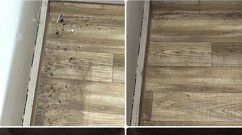 Usługi sprzątania domów, mieszkań, obiektów komercyjnych