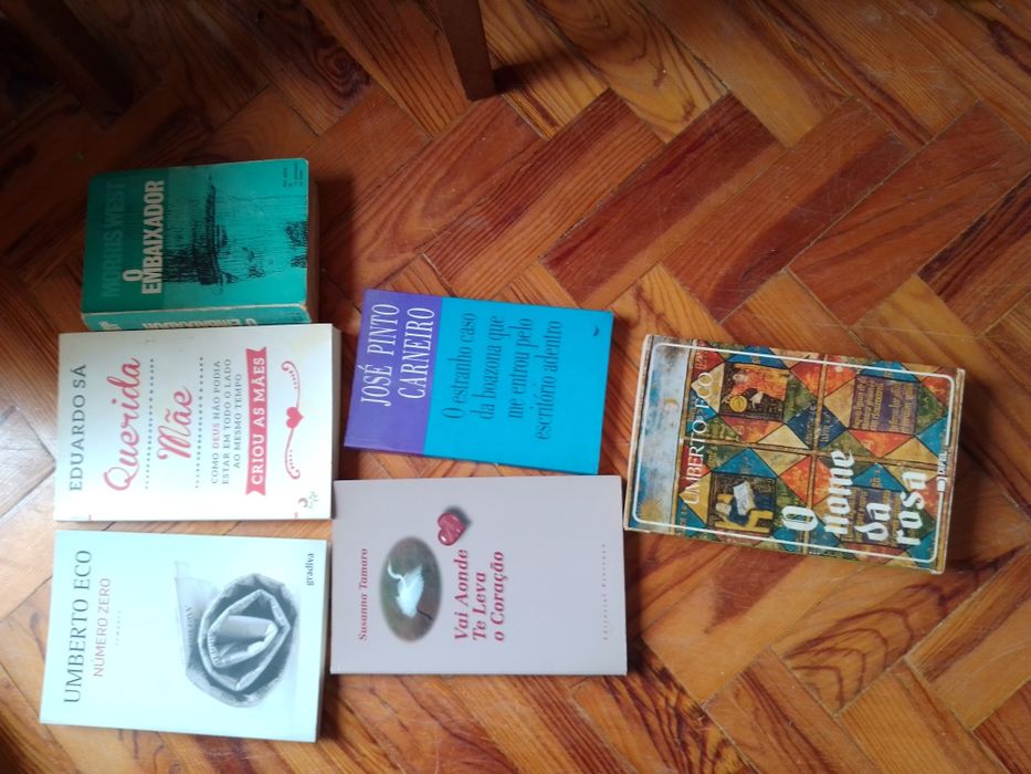 Saldos  Saramago/Ensino/educação /Inovação/Ficçao e outros Desde 3E.