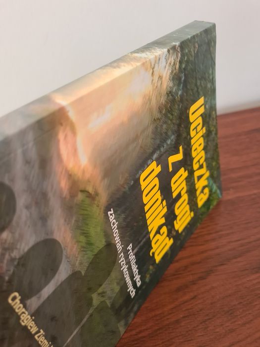 Ucieczka z drogi donikąd - Profilaktyka zachowań ryzykownych