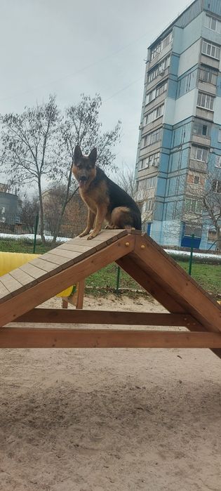 Вязка молодого кабеля