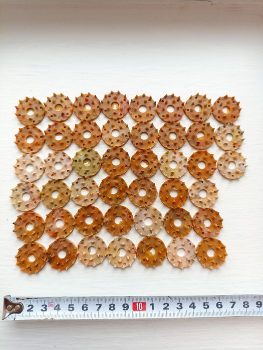 Медичний масажор СССР. Аплікатор Кузнецова