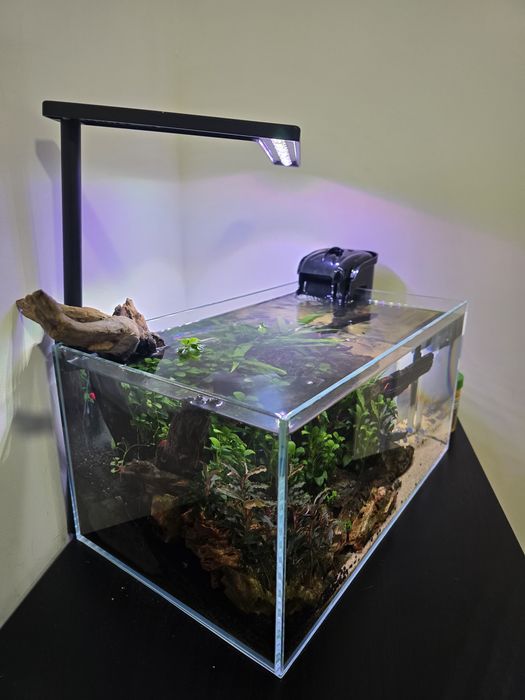 Aquario completo 36×22×18 cms