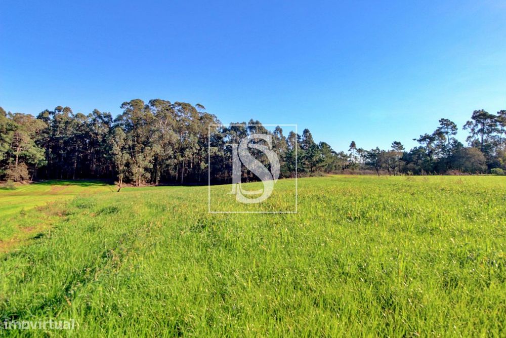Terreno  Venda em Laundos,Póvoa de Varzim — Laúndos, Porto
