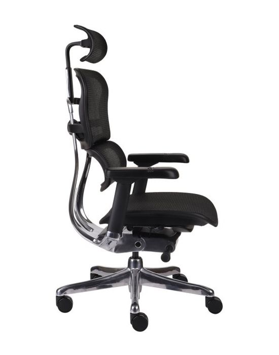 Ergohuman 2 najnowsza wersja St Elite Plus black najnowszy model