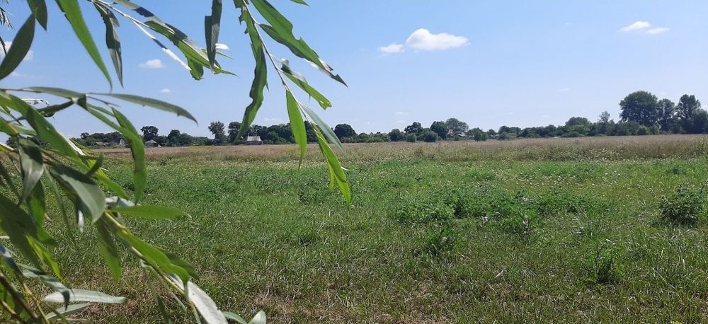 Продаю земельну ділянку  с. Любарці