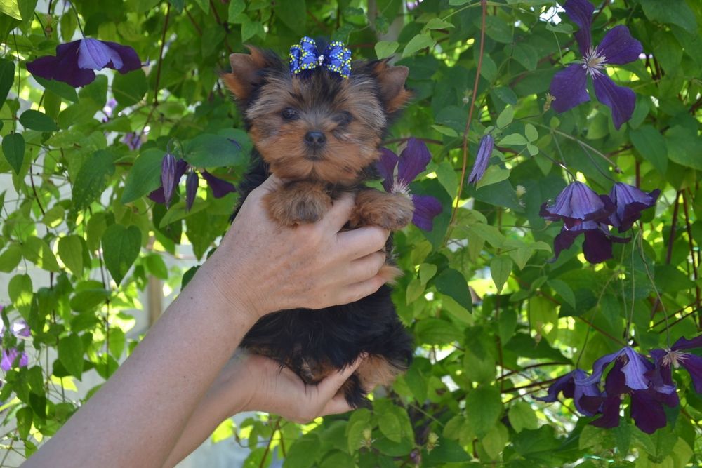 Гарненький хлопчик чекає на родину