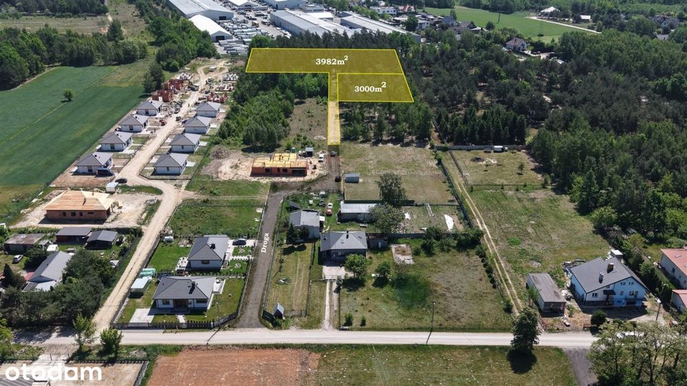 Działka leśna 3000 m² – Sochaczew, Wypalenisko