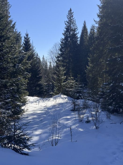 Ділянка в Карпатах біля річки ( Кривопільський перевал )