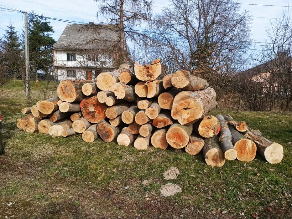 Dobre i tanie drewno opałowe
