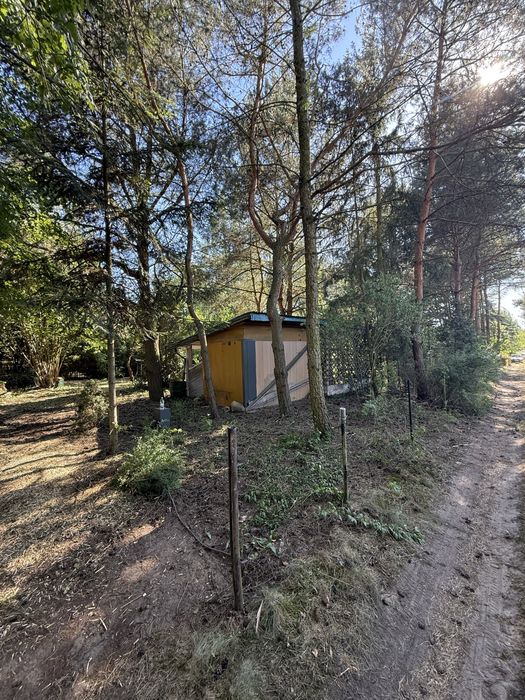 ROD Sahara , 400mk , Witow kolonia