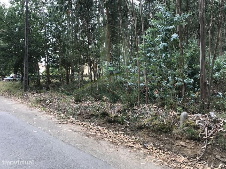 Terreno para Venda em São Pedro da Torre
