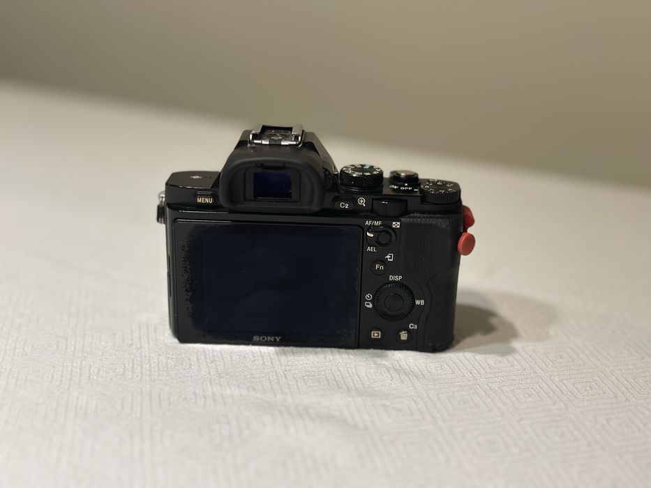 Sony a7s com cage movcam