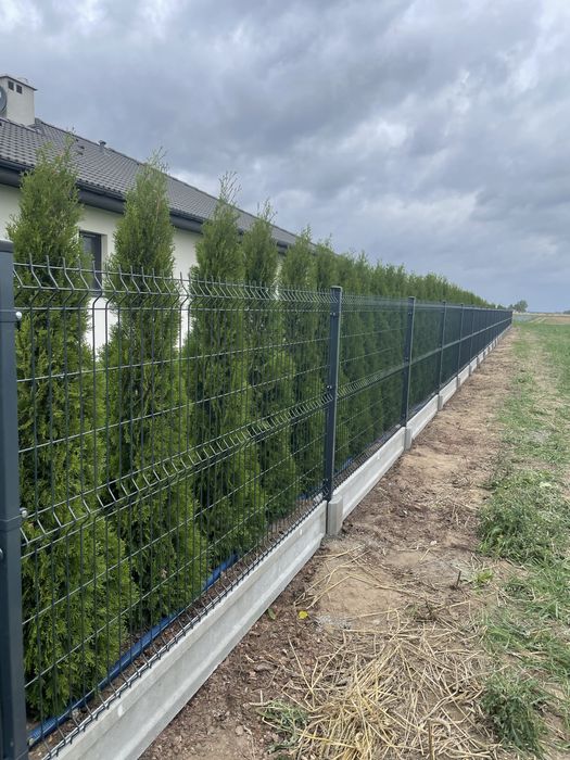 Ogrodzenia Panelowe 3D/2D SPRZEDAŻ MONTAŻ