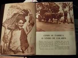 O vinho de Colares, edição de 1938