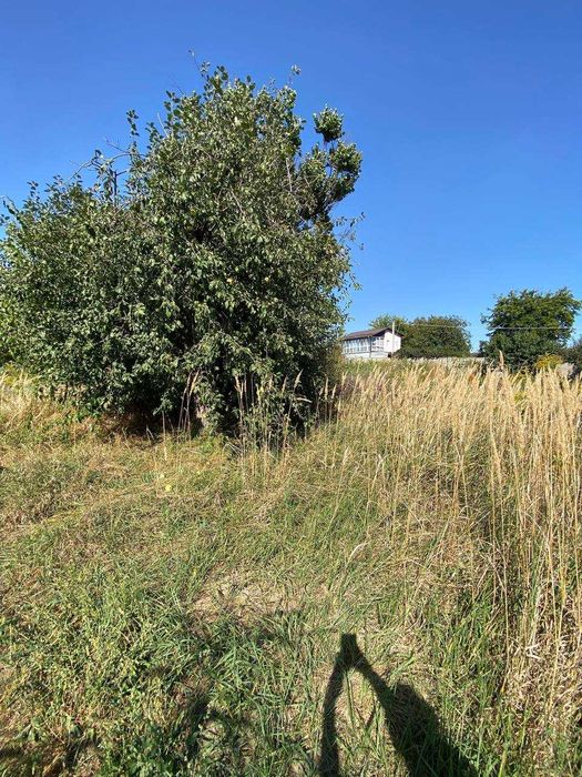 Продається земельна ділянка Гостомель