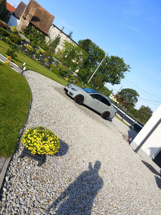 Skoda Octavia Rs 2.0tdi