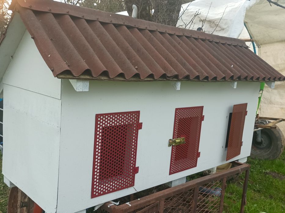 Klatka dla królików