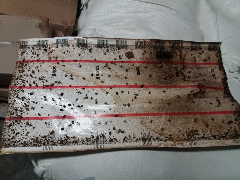 Липкий экран от мух для ферм. Липкий лист від мух.