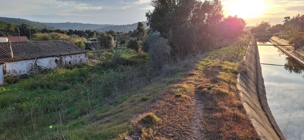 Quinta em Silves 1.5h