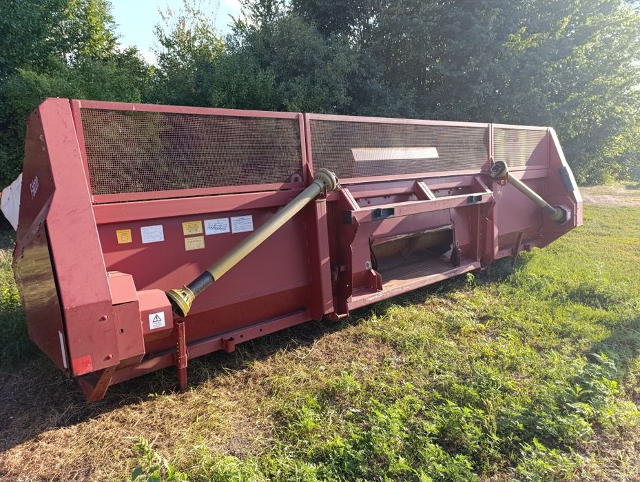 Жниварка соняшникова