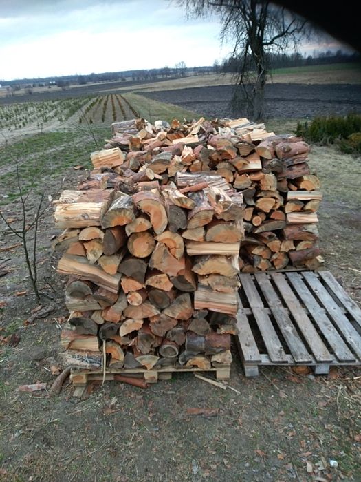 Drzewo kominkowe, opałowe,sosna, brzoza, itp.