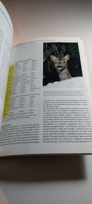 Manual Prático de Fotografia - Lello Piazza (1ª edição, 1992)