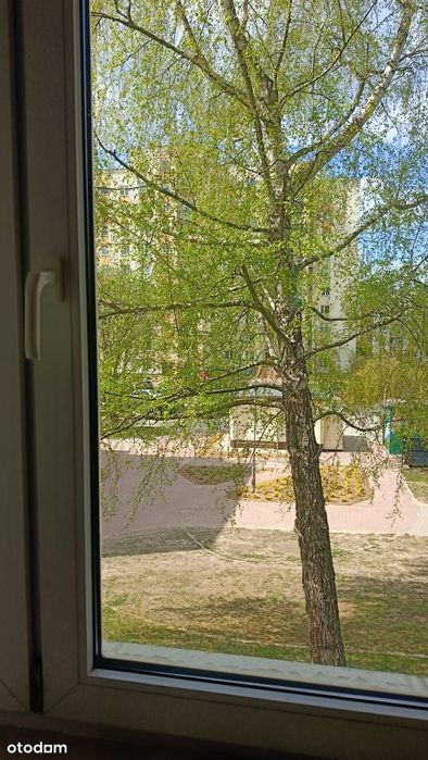 Dwupokojowe mieszkanie na 1 piętrze z dużym balkonem - Widok 6