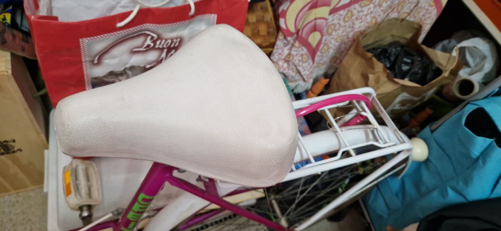 Bicicleta Órbita Clássica