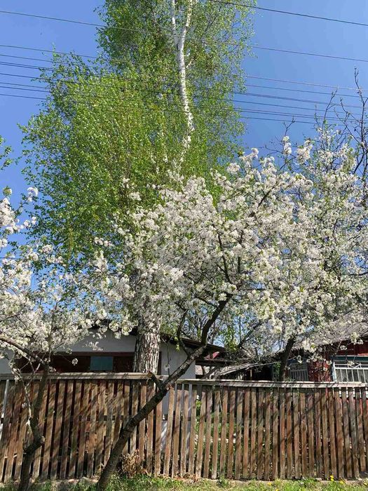 Продаю Будинок (р-он Вокзал )