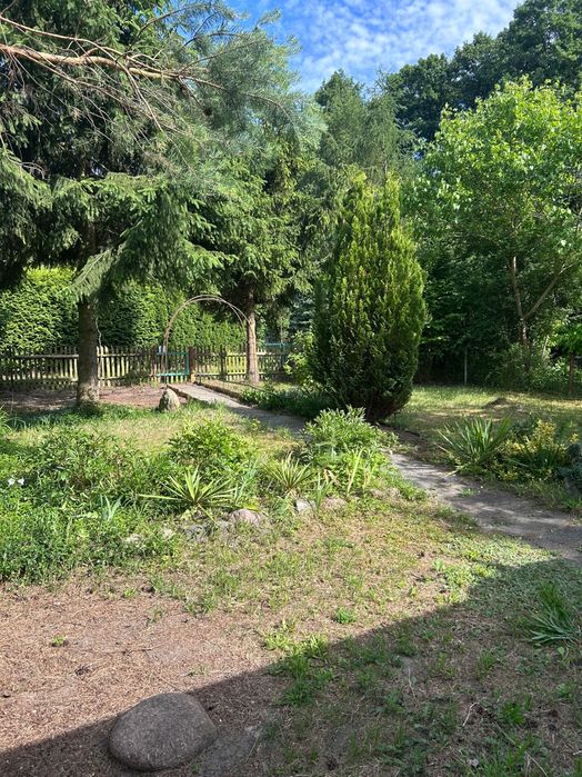 Działka ROD Witaminka Sochaczew