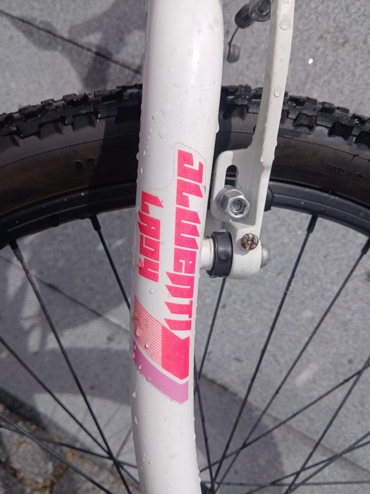 Bicicleta de menina 24