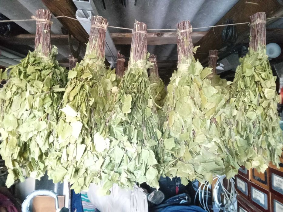 Продам віникі в баню