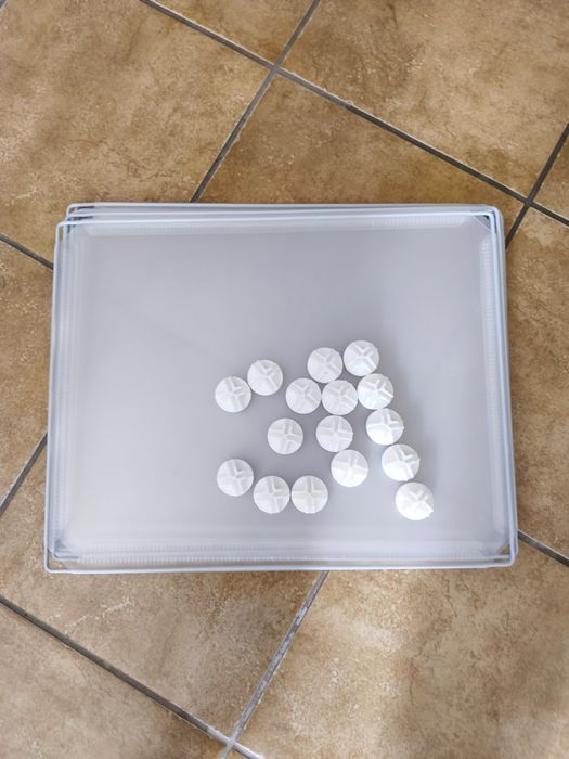 Parque de treino para cachorros