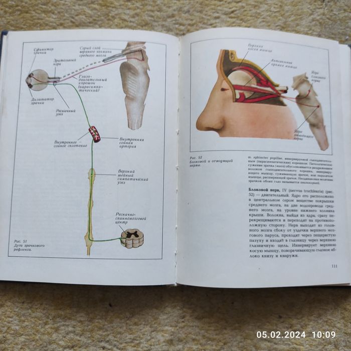 Атлас топической диагностики заболеваний нервной системы
