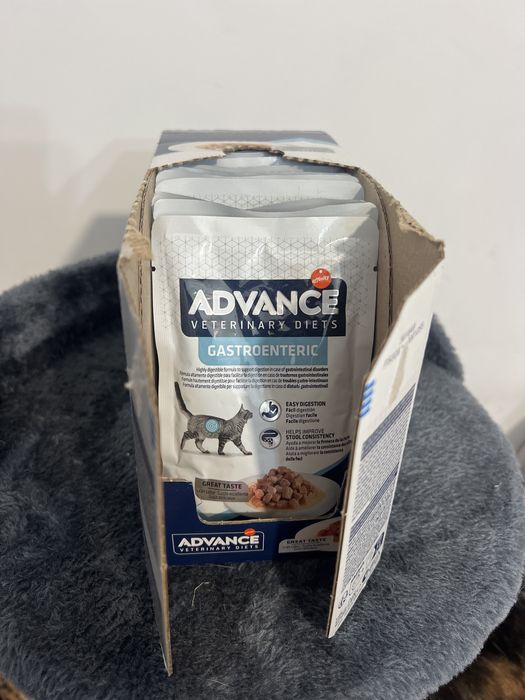 Ração Húmida Advance Vet Diets Cat Gastroenteric 12x 85g