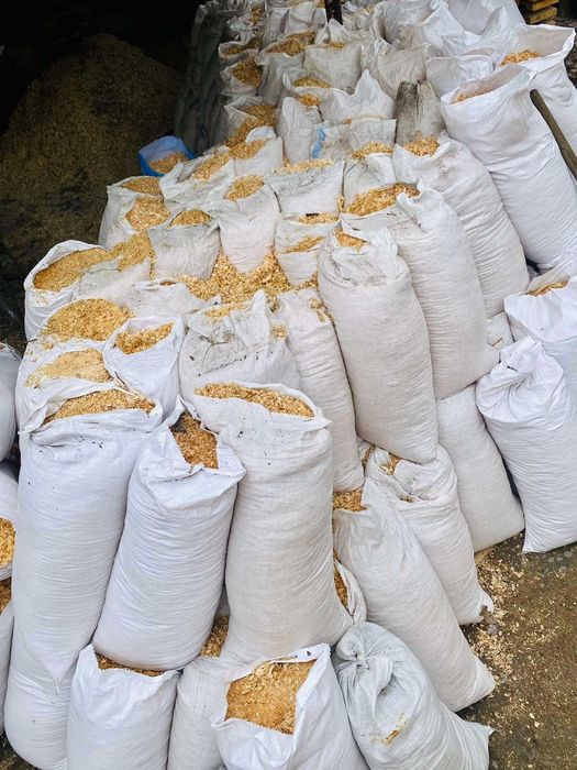 Продам тырсу , стружку