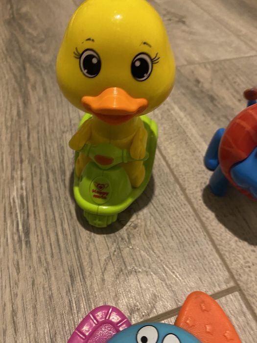 Набір іграшок гризка носочки