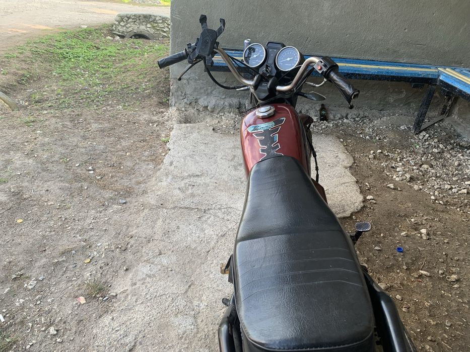 Альфа мустанг 2020