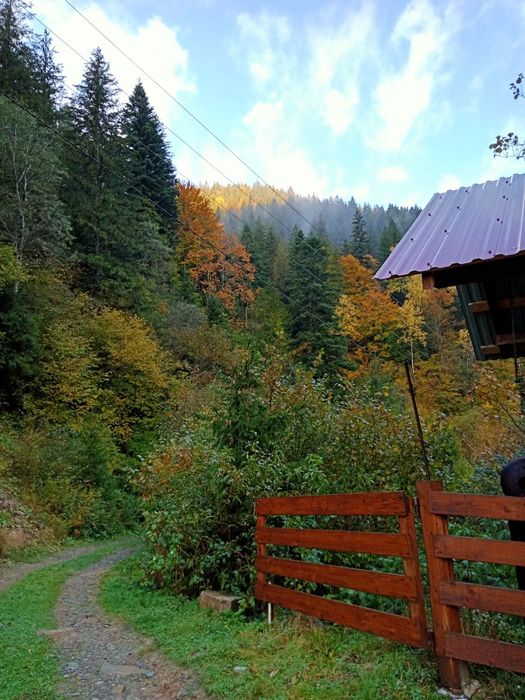 Відпочинок в Карпатах номер з окремим входом і кухнею .