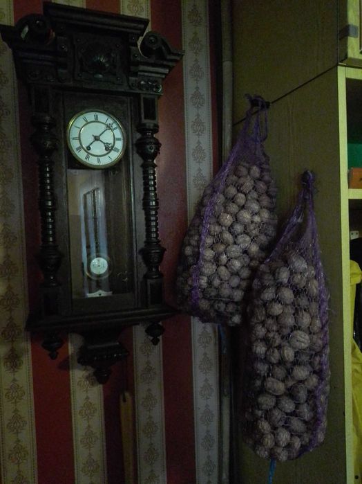 Грецкие орехи с дачи, скорлупа для печного отопления, перегородки